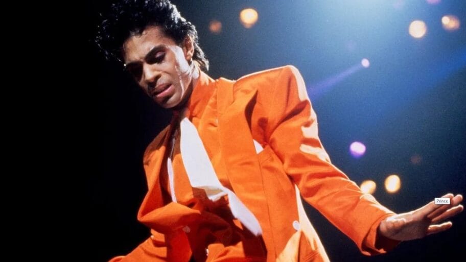 114798665 prinsnaslovna