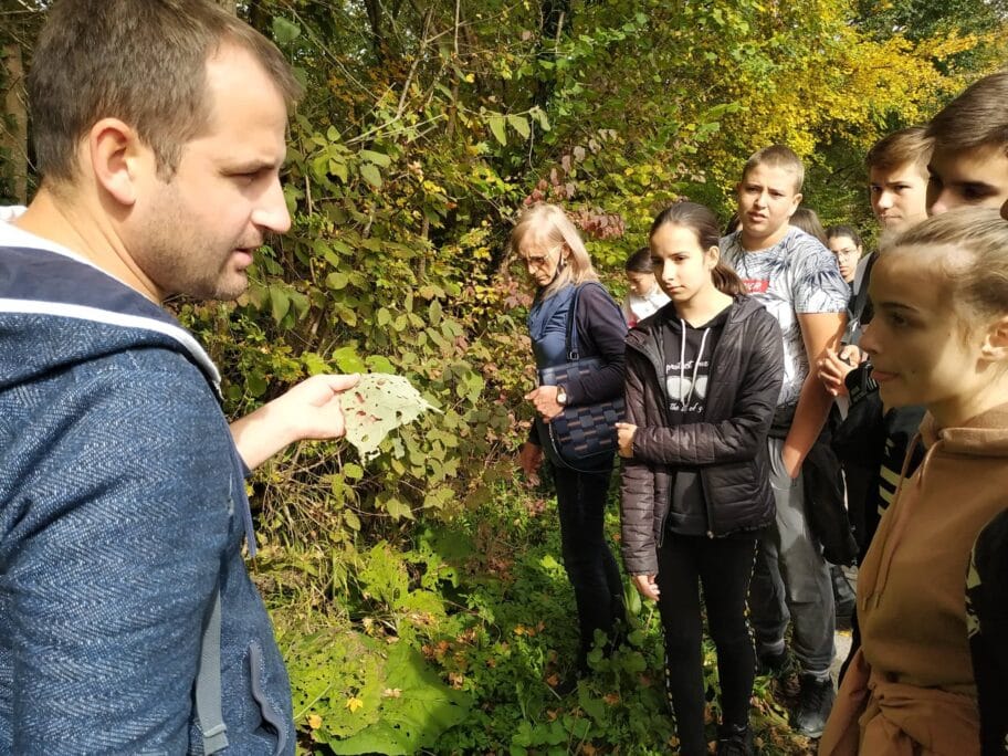 122671220 356919945752844 3167089314623751850 n