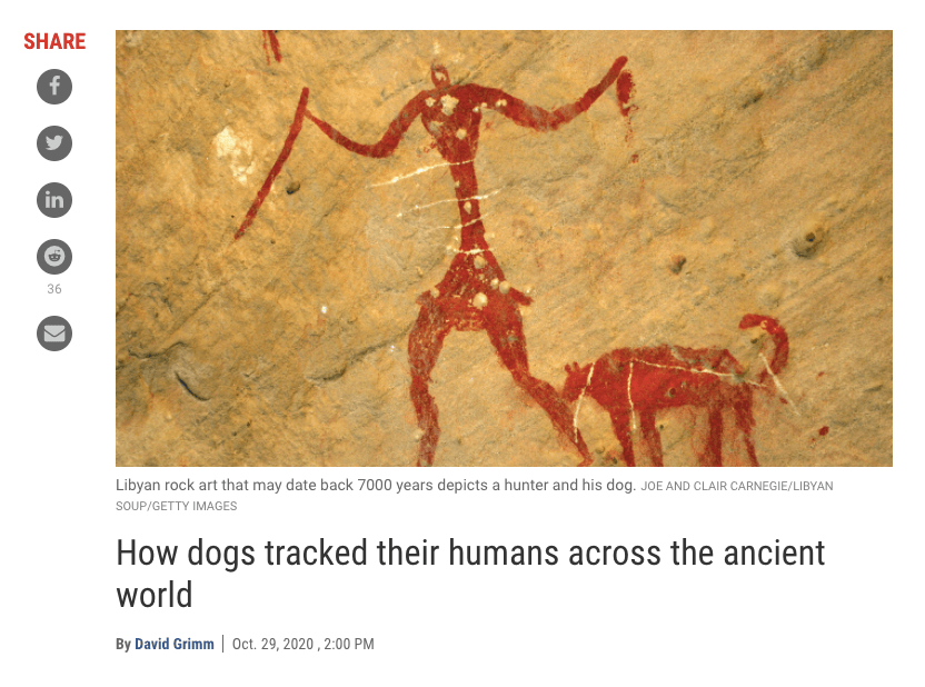 Screen Shot 2020-11-04 at 12.23.42 PM