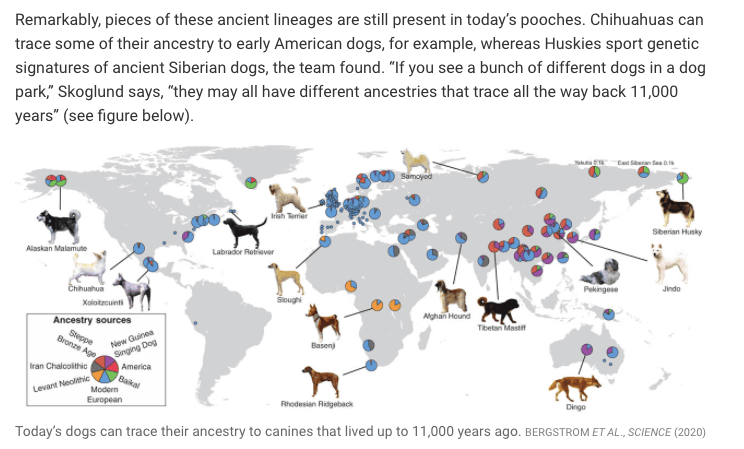 Screen Shot 2020-11-04 at 12.24.13 PM