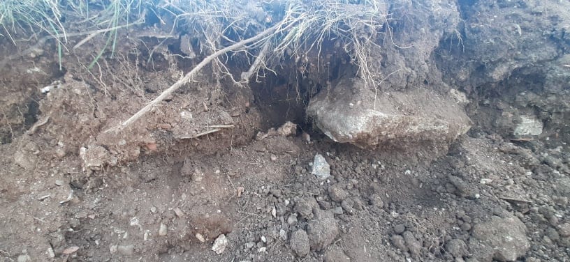 123668565_3698120793588109_6088133450047261763_n