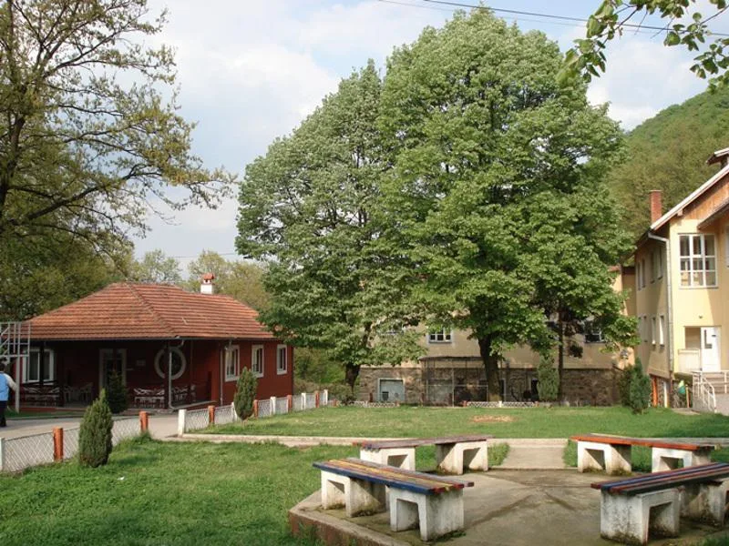 Korona u Domu u Kulini i leskovačkom Domu za stare, bez informacija o broju zaraženih 6 800x600 dom kulina dvoriste foto dom kulinaz