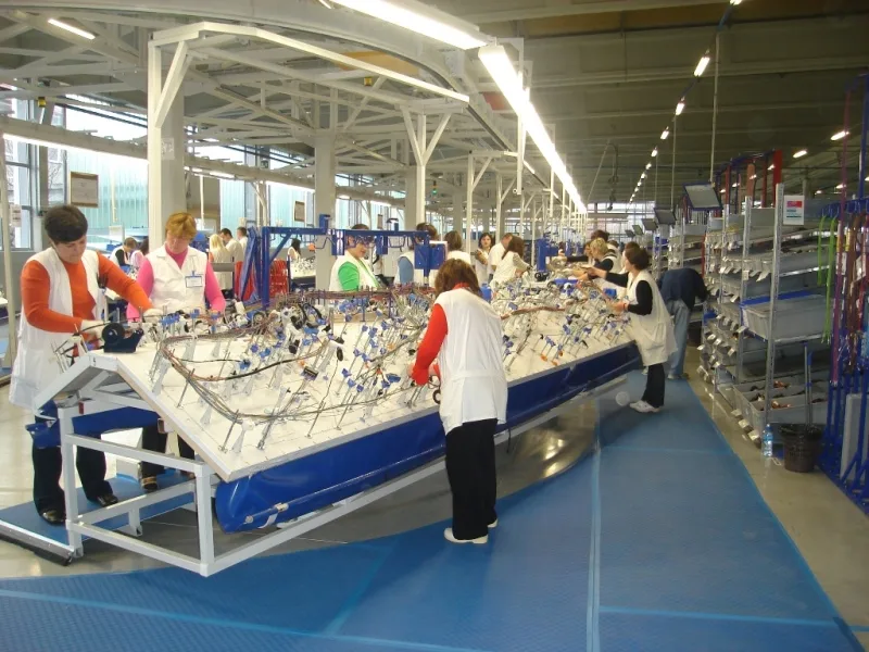 Kontrola nakon žalbi investitora pokazala - većina bolovanja u Nišu ispravna 11 arhiva radnici u fabrici leoni 2