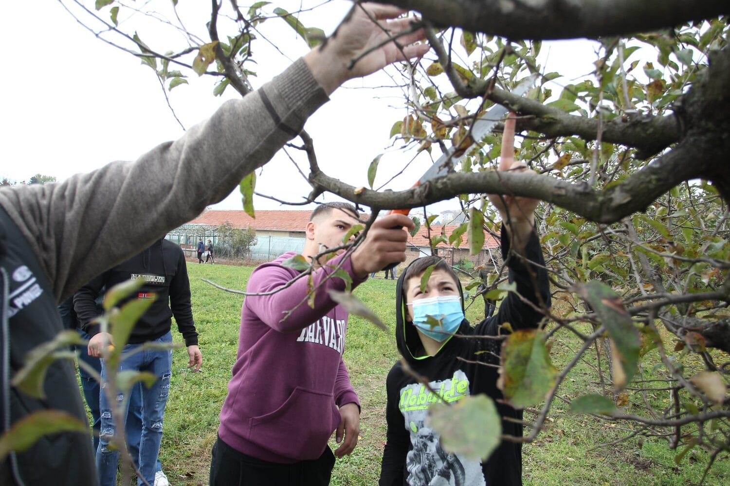 Poljoprivredna_skola_PK_foto_JV (1)