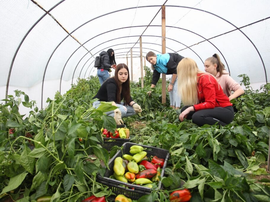 Poljoprivredna skola PK foto JV 3