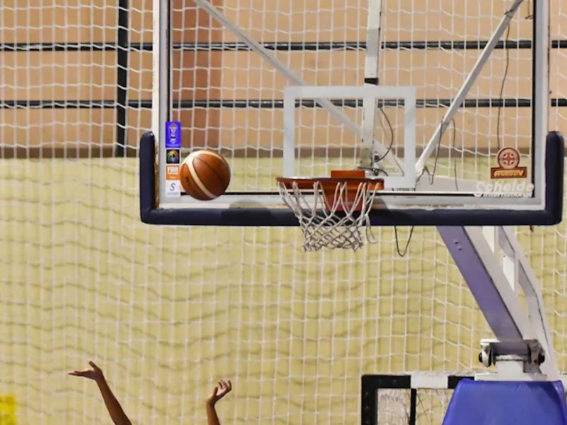 kosarka ilustracija foto jv vanja keser 2