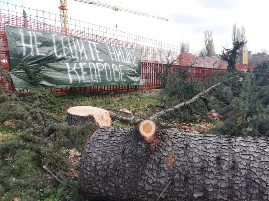 Kedrovi uzburkali javnost, gradonačelnica izbegava duele, funkcioneri vređaju medije 20 kedroviopet foto T T