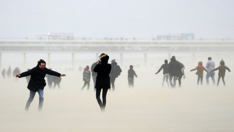 115868826 gettyimages 1205075442