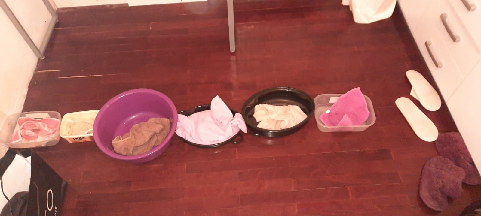 poplava3; foto; stanari