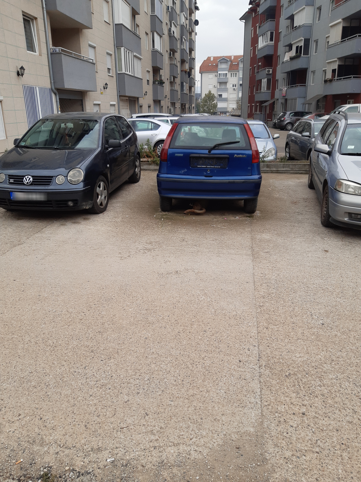 napušteni automobil