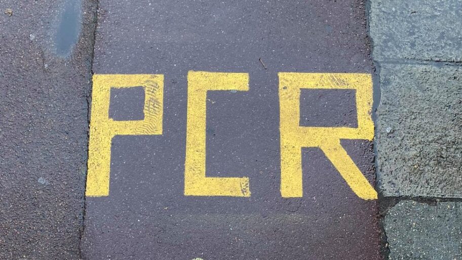 116101495 131565652 733826703914975 5739045362094004464 n