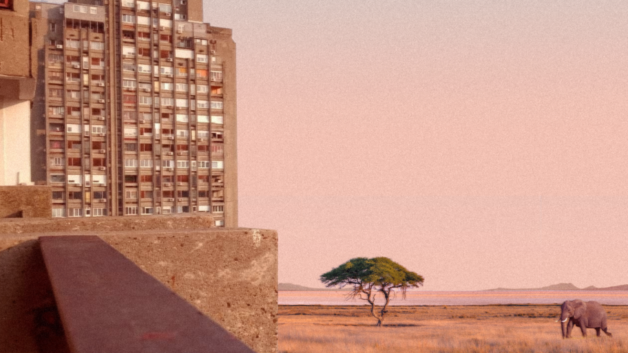 116223969 soliteriafrikainsta