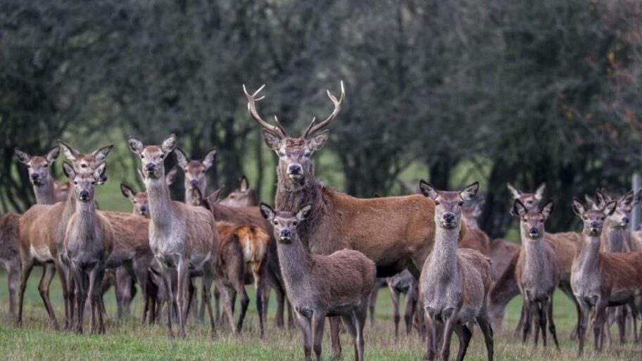 116241144 mediaitem116241142