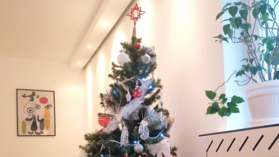 116253057 jelkaplasticna