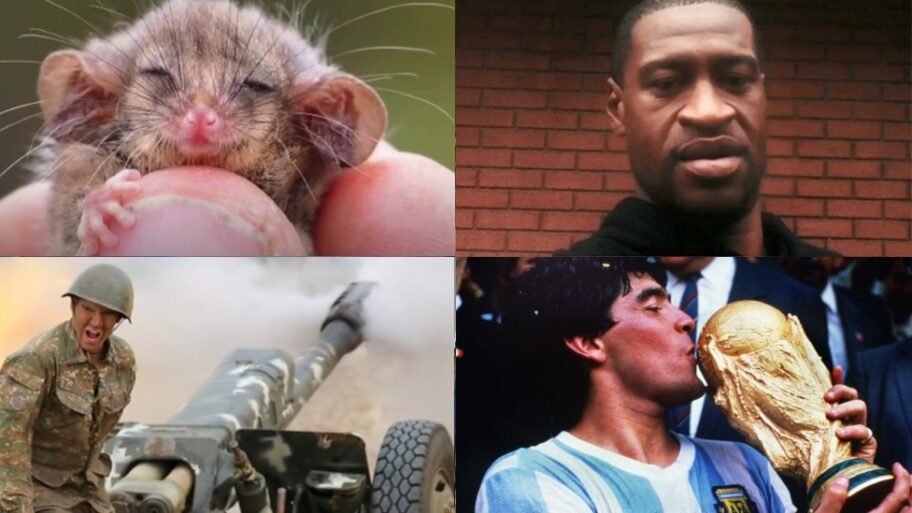 116249028 4b596e8f 4c49 424a ba04 161b1188bd90