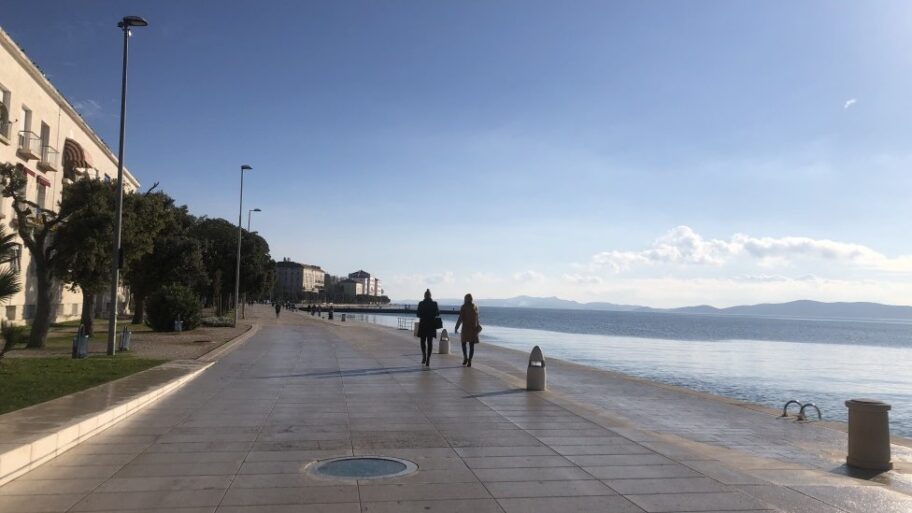 116216317 morskoorguljezadar 01