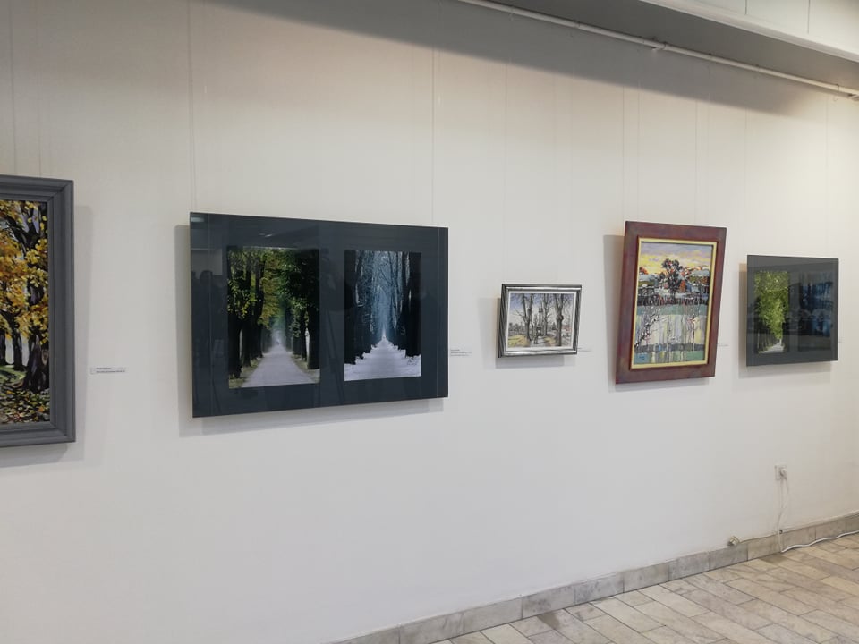 iyloyba2; foto; T. T.