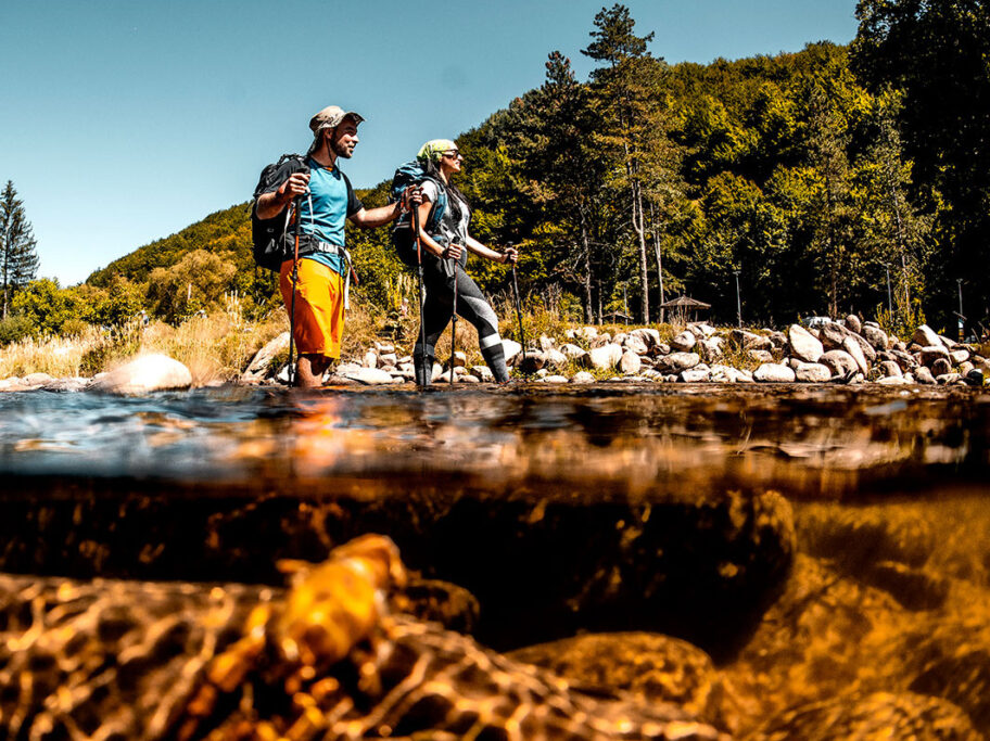 Photo Predrag Vuckovic 0140