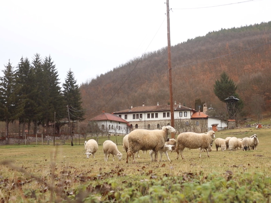 Temska reportaža 1; foto: JV