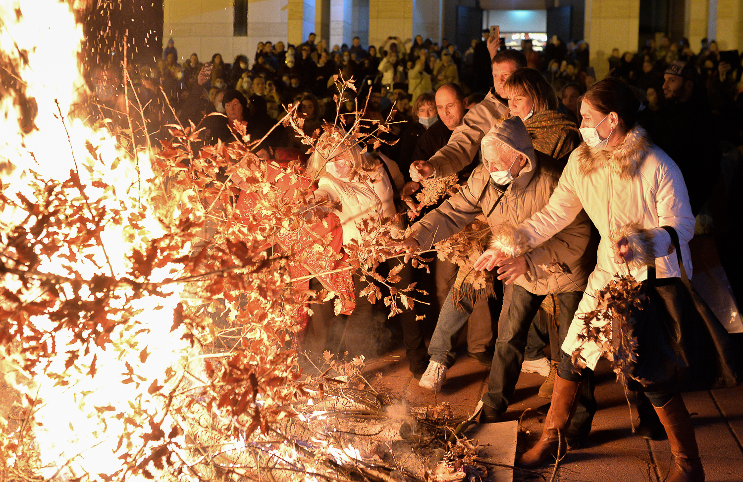 badnjak2021 6 fotovkeser