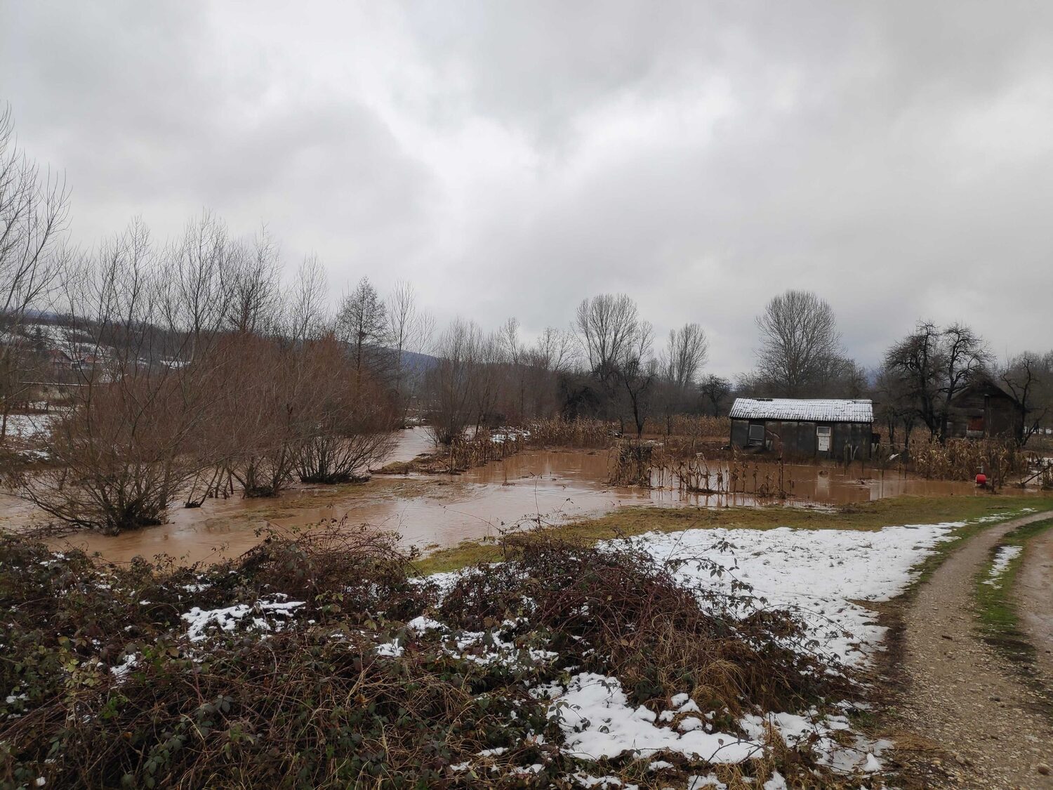 IMG 20210111 110649 scaled