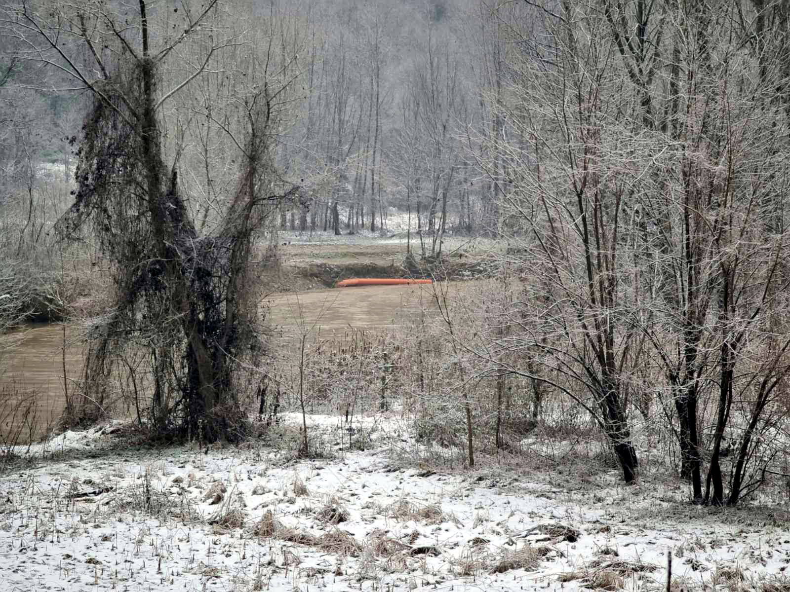 Poplave Vlasotince; foto: Agencija Publika