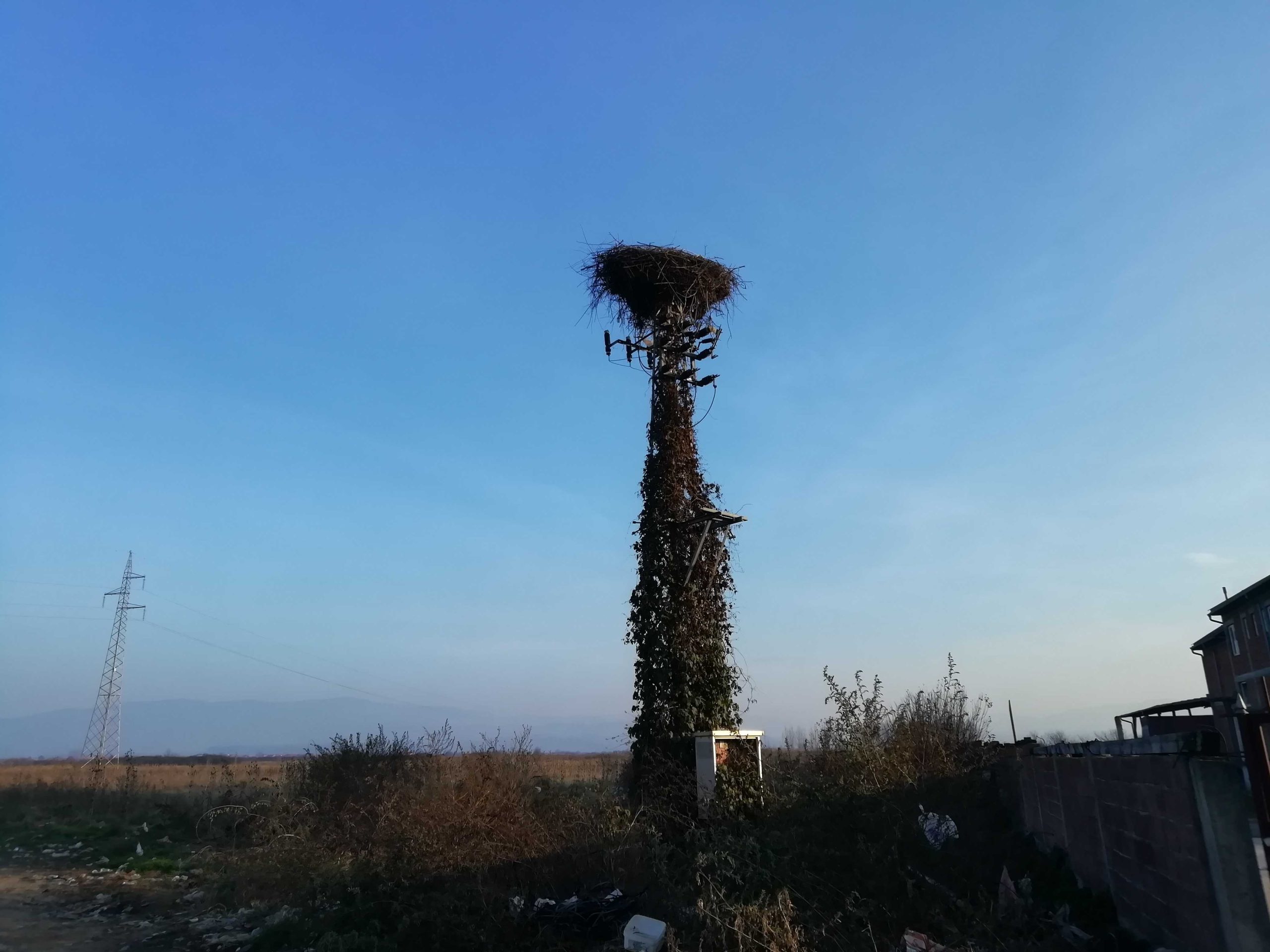 img 20201202 144212 scaled