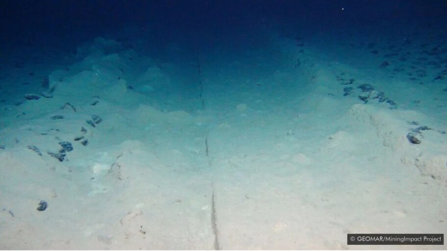 Životna sredina, okean i zagađenje: Skriveni ljudski tragovi duboko na dnu okeana 9 116070324 naslovna