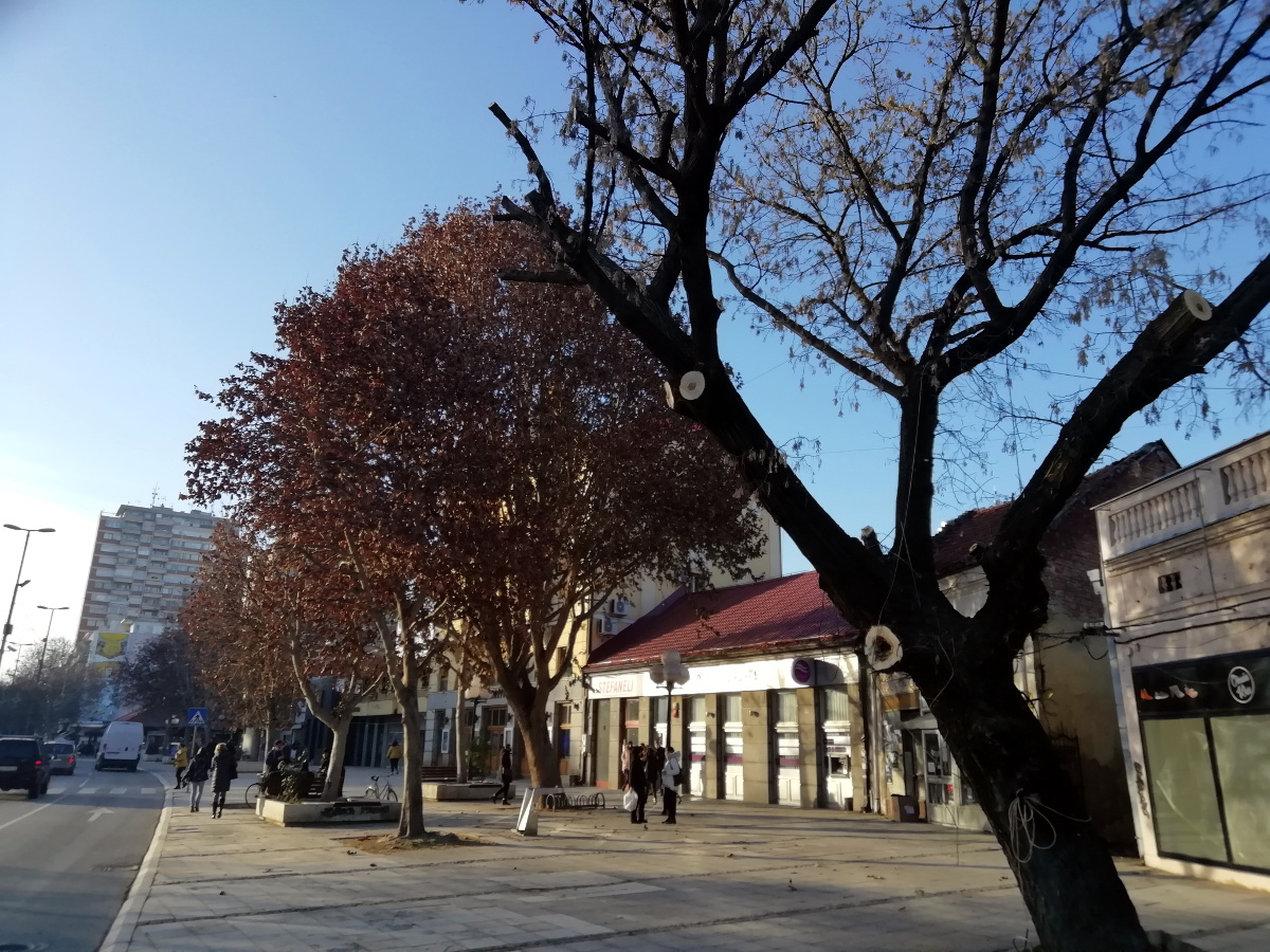 ptice2 LE foto m.Mitic