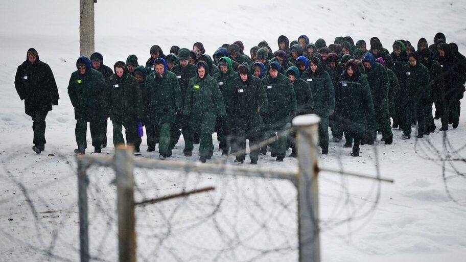 116156532 tass 13749604