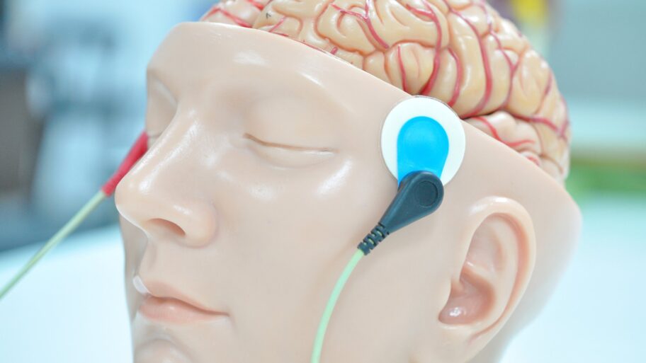 116034602 getty brain