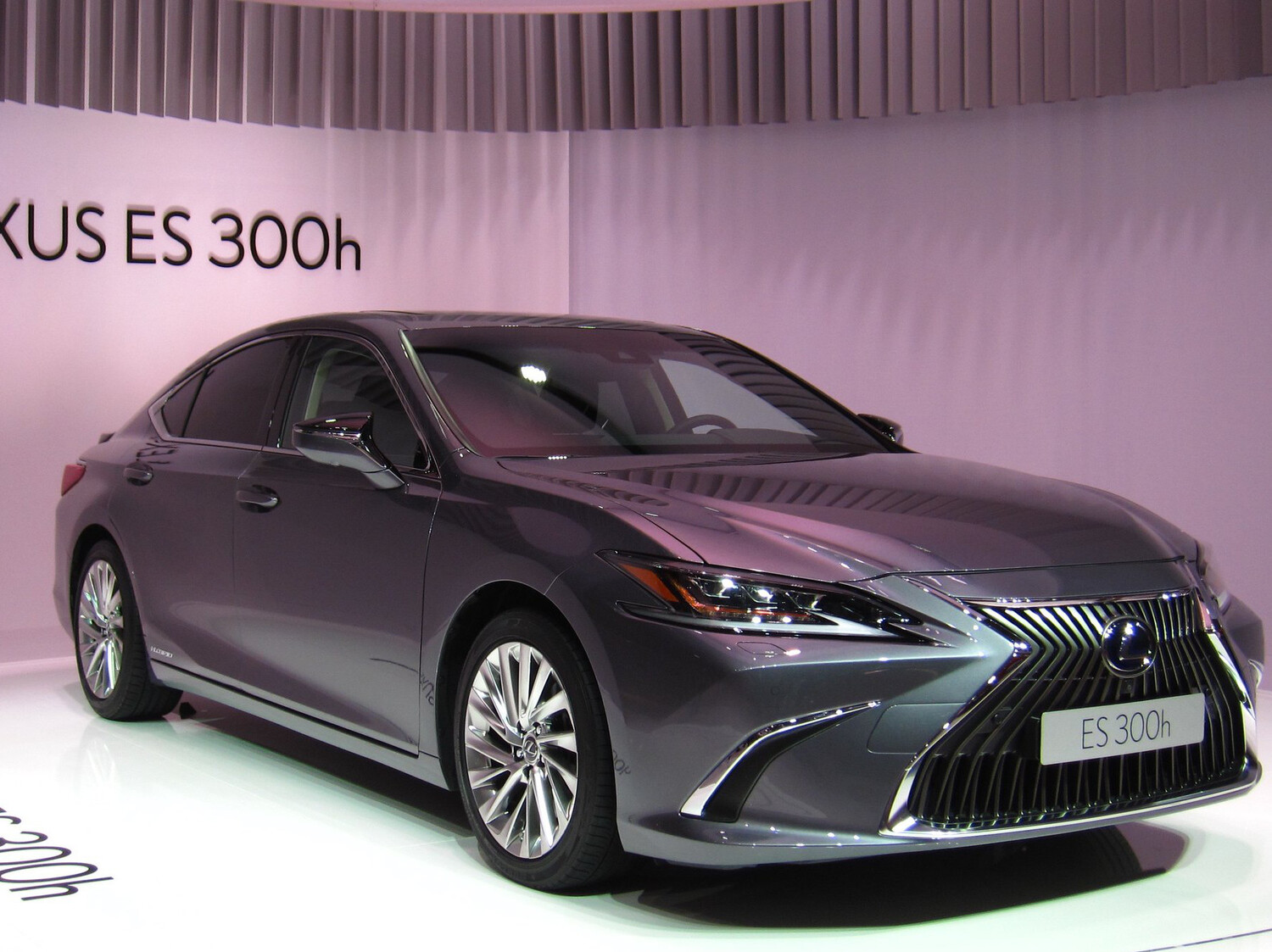 leksus foto Rutger van der Maar