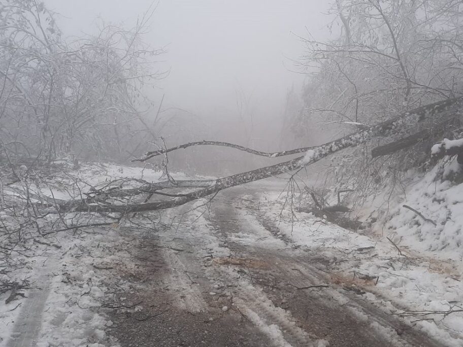 IMG dc45a513df52fa05ee09a4f2ba684ea4 V