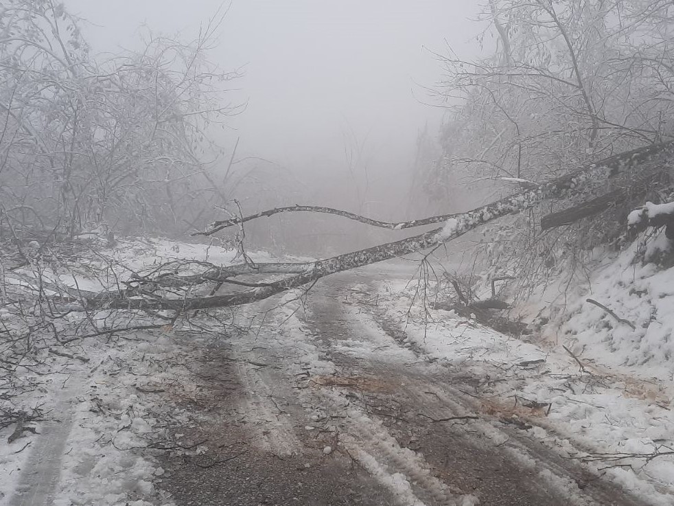 IMG dc45a513df52fa05ee09a4f2ba684ea4 V