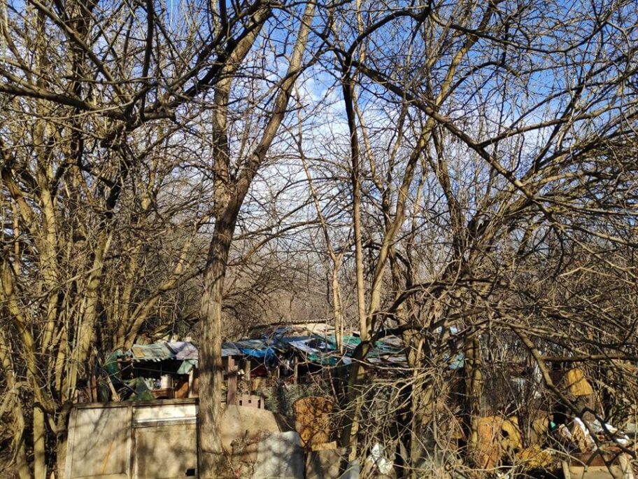 143858392 243507920684383 3425963463915077242 n