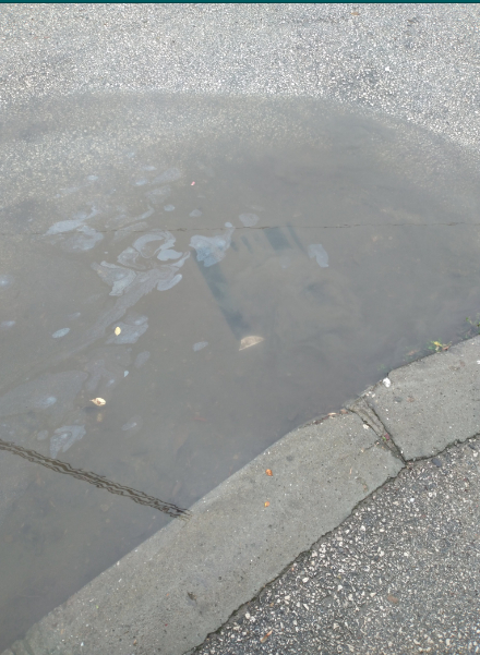 odvod ne prima svu vodu