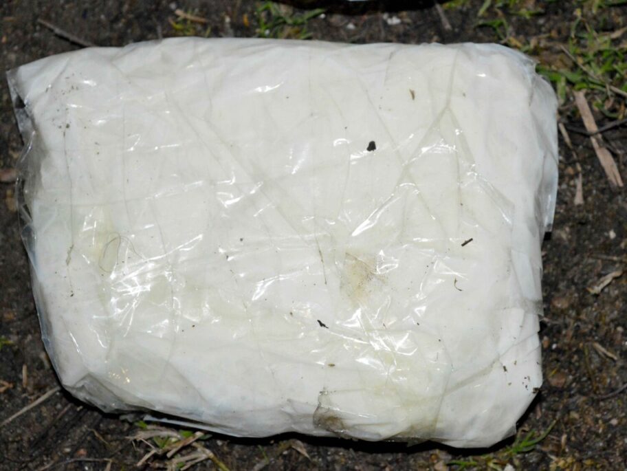 Subotičanin u Leskovcu izbacio kesicu sa drogom iz auta 16 2 scaled