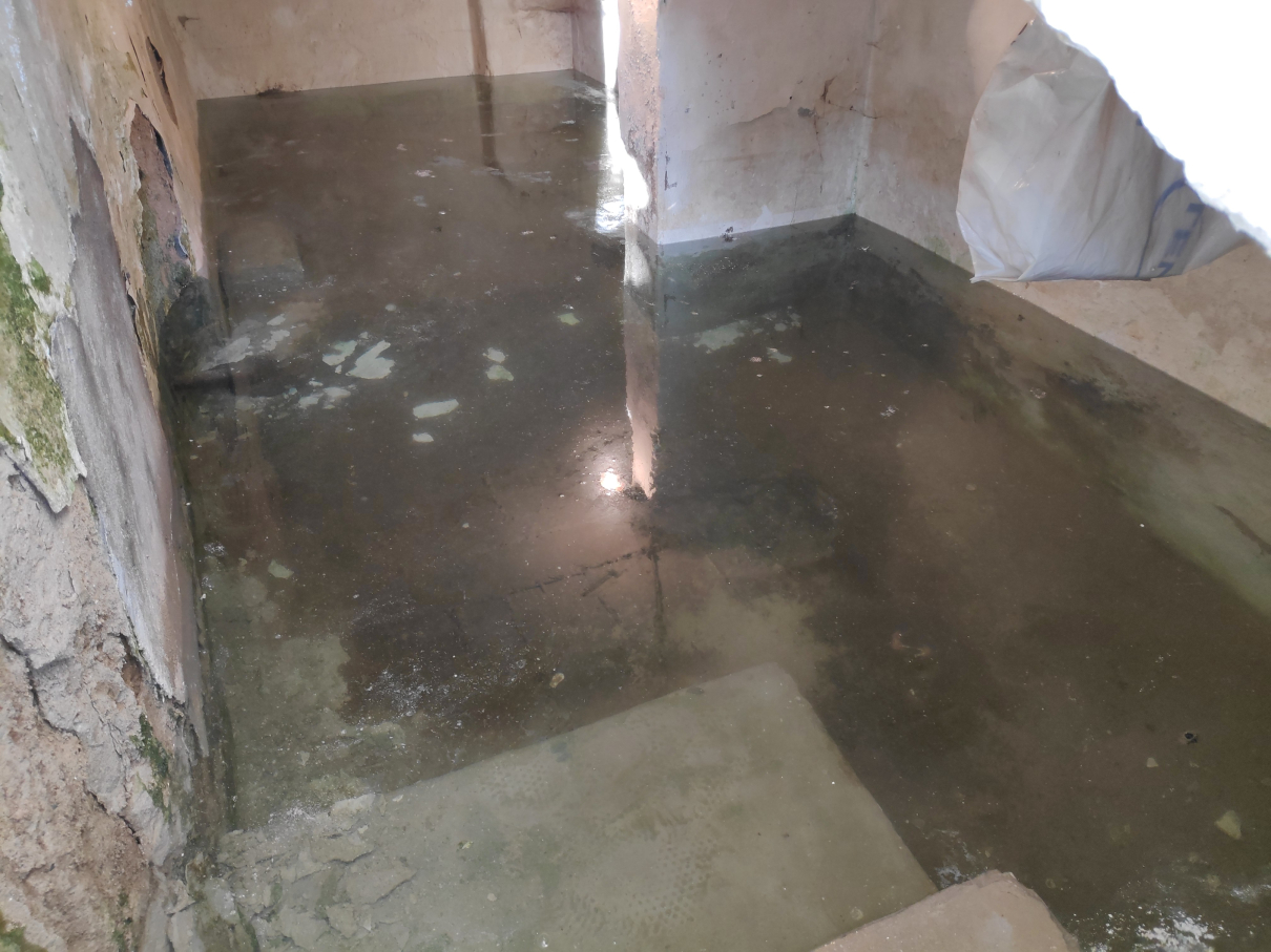 potopljen podrum foto Nikola Mitic