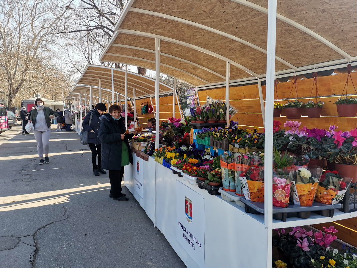 pijaca pantelej foto fb pantelej