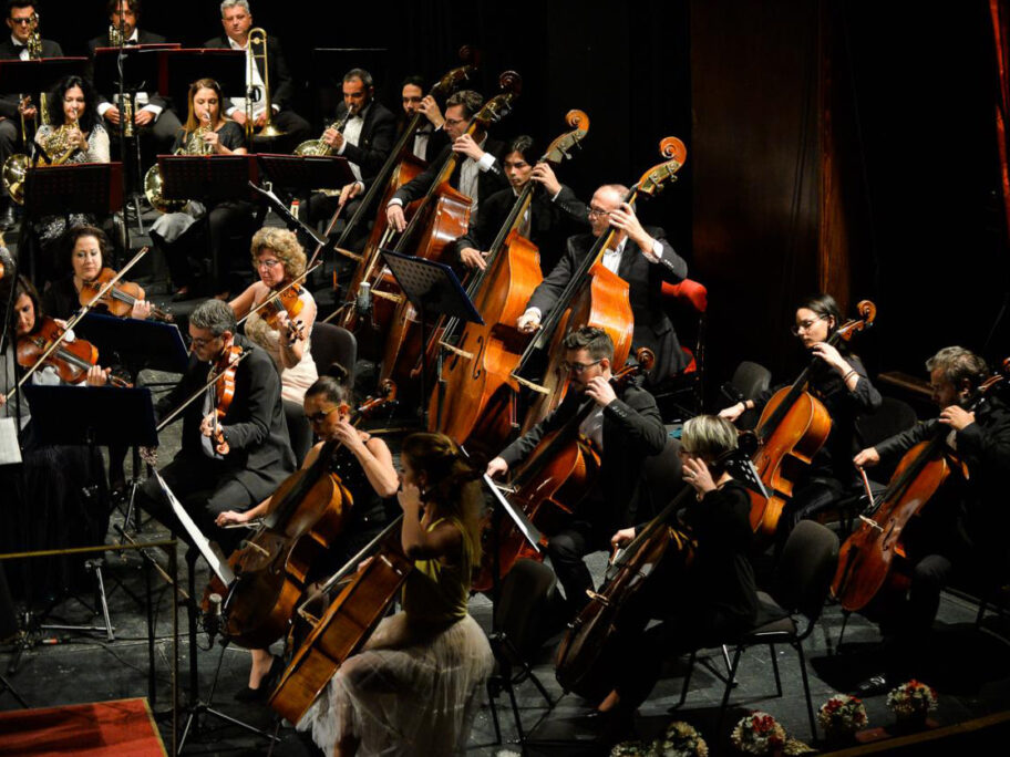 Koncert posvećen damama "Opera Gala" Niški simfonijski orkestar izvodi na sceni niškog teatra 4 simfonijski foto vk