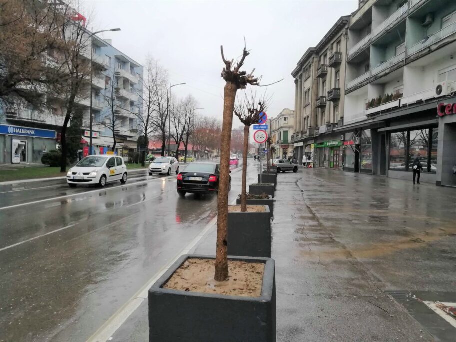 IMG 20210315 131247 scaled