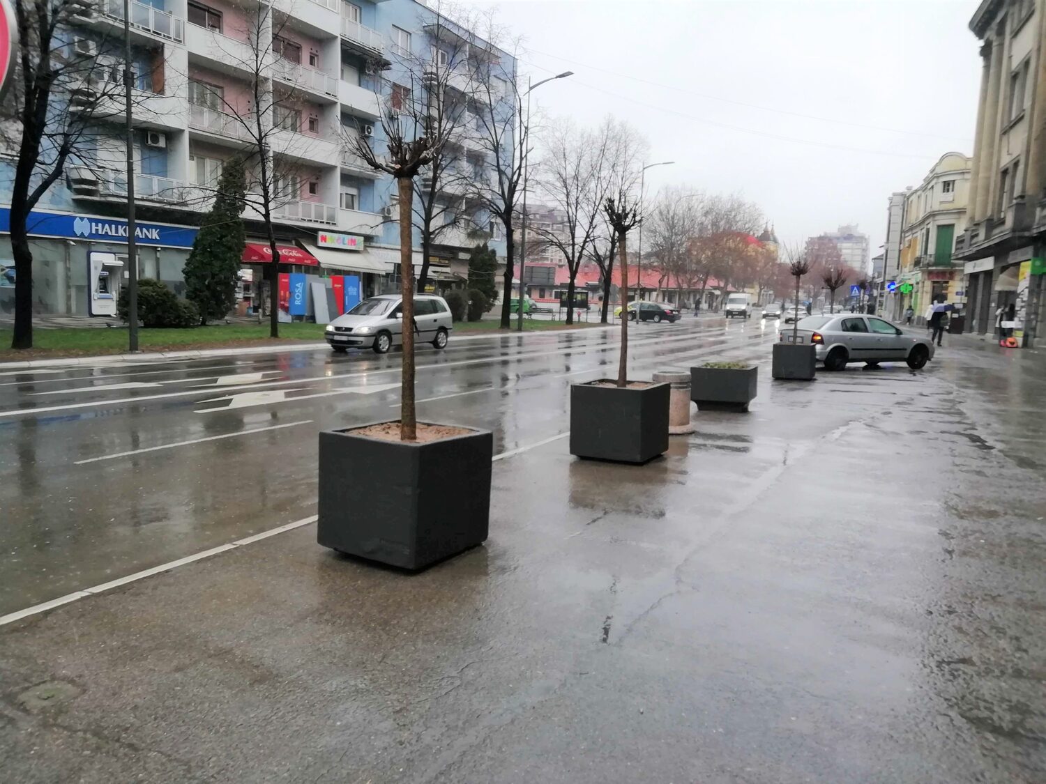 drvored u žardinjerama