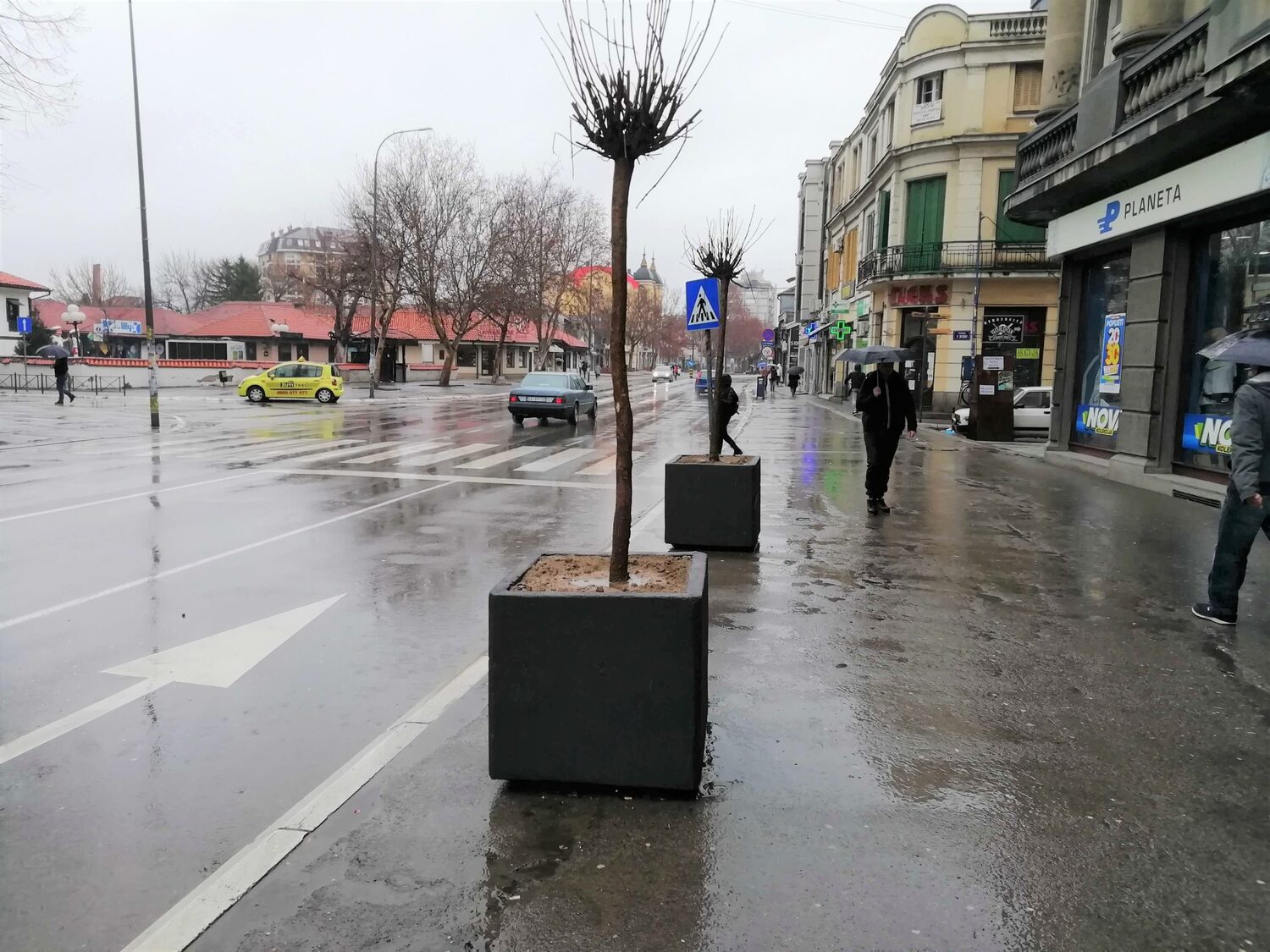 LESKOVAC DRVORED ZARDINJERE