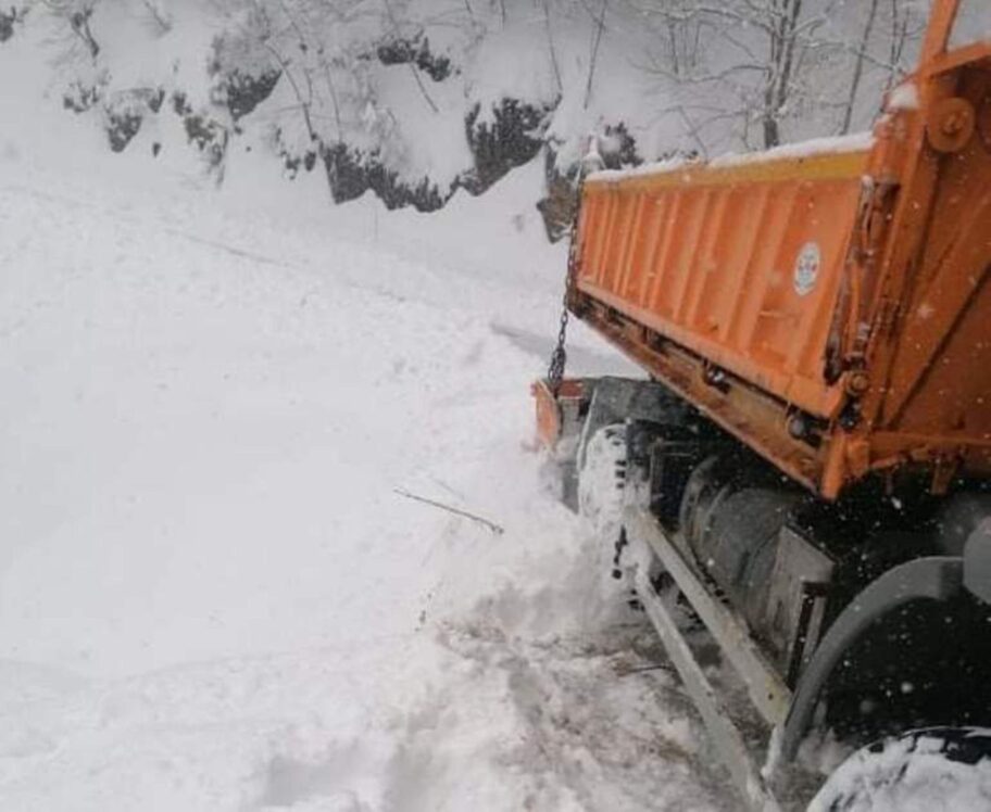 IMG 86a979424b2f7c4de324cd3a9647d0ff V scaled