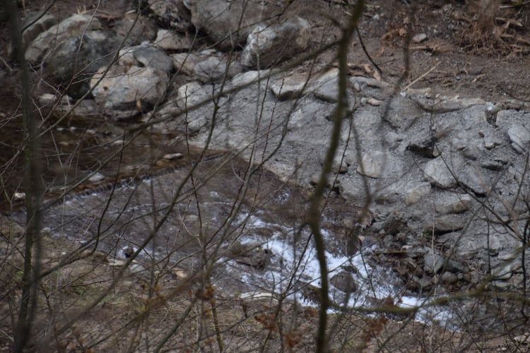 MHE u blizini Vlasotinca foto Tamara Todorovic