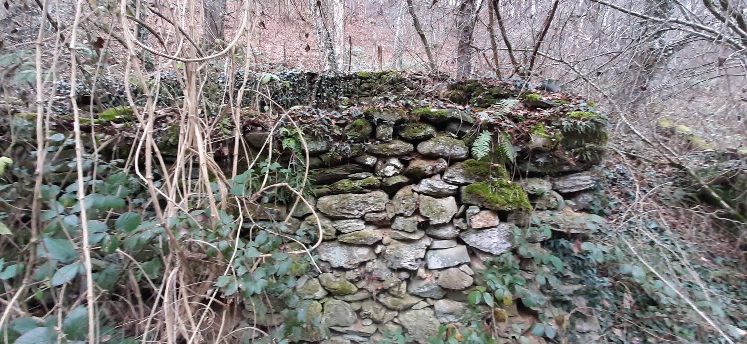 MHE u blizini Vlasotinca foto Tamara Todorovic