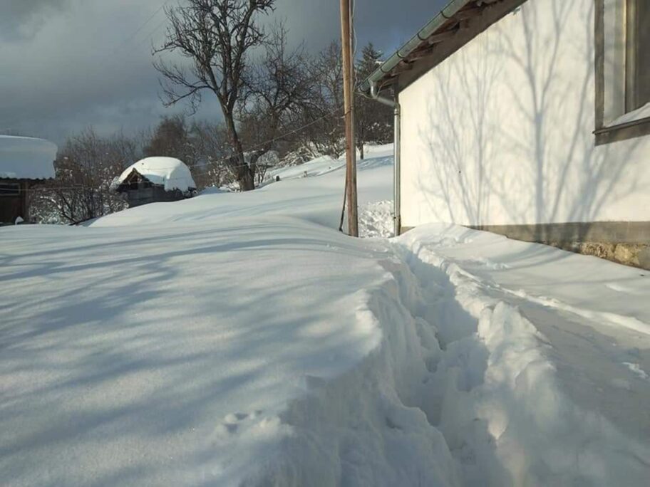 FB IMG 1616106078151 scaled