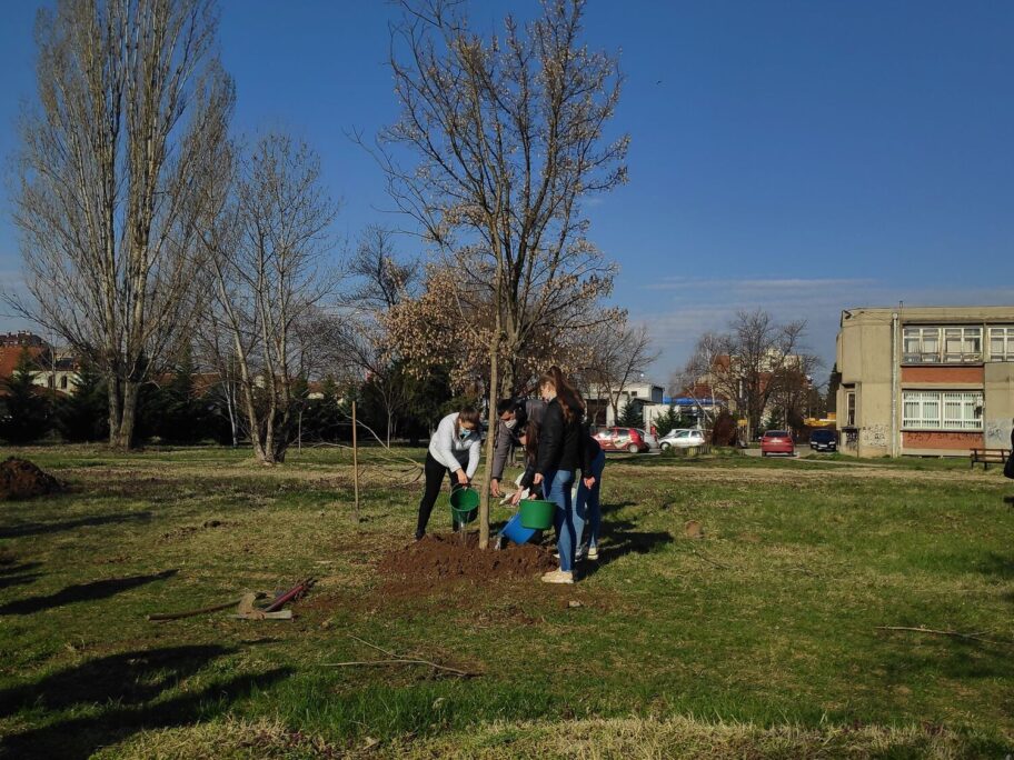 165567107 2812449049011590 2277437412342327342 n