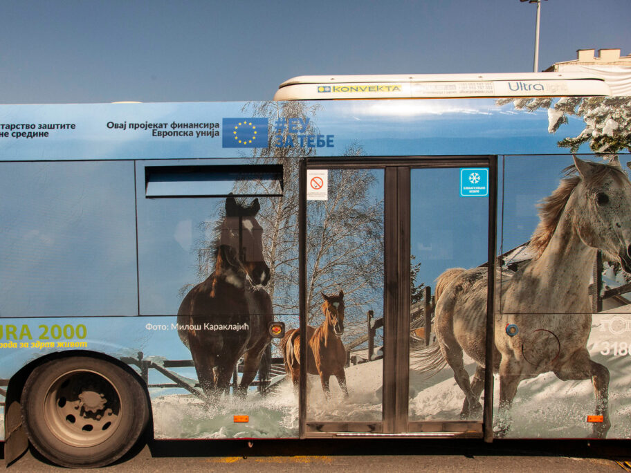 Priroda Srbije i na gradskim autobusima u Nišu 3 eu bus fot eu