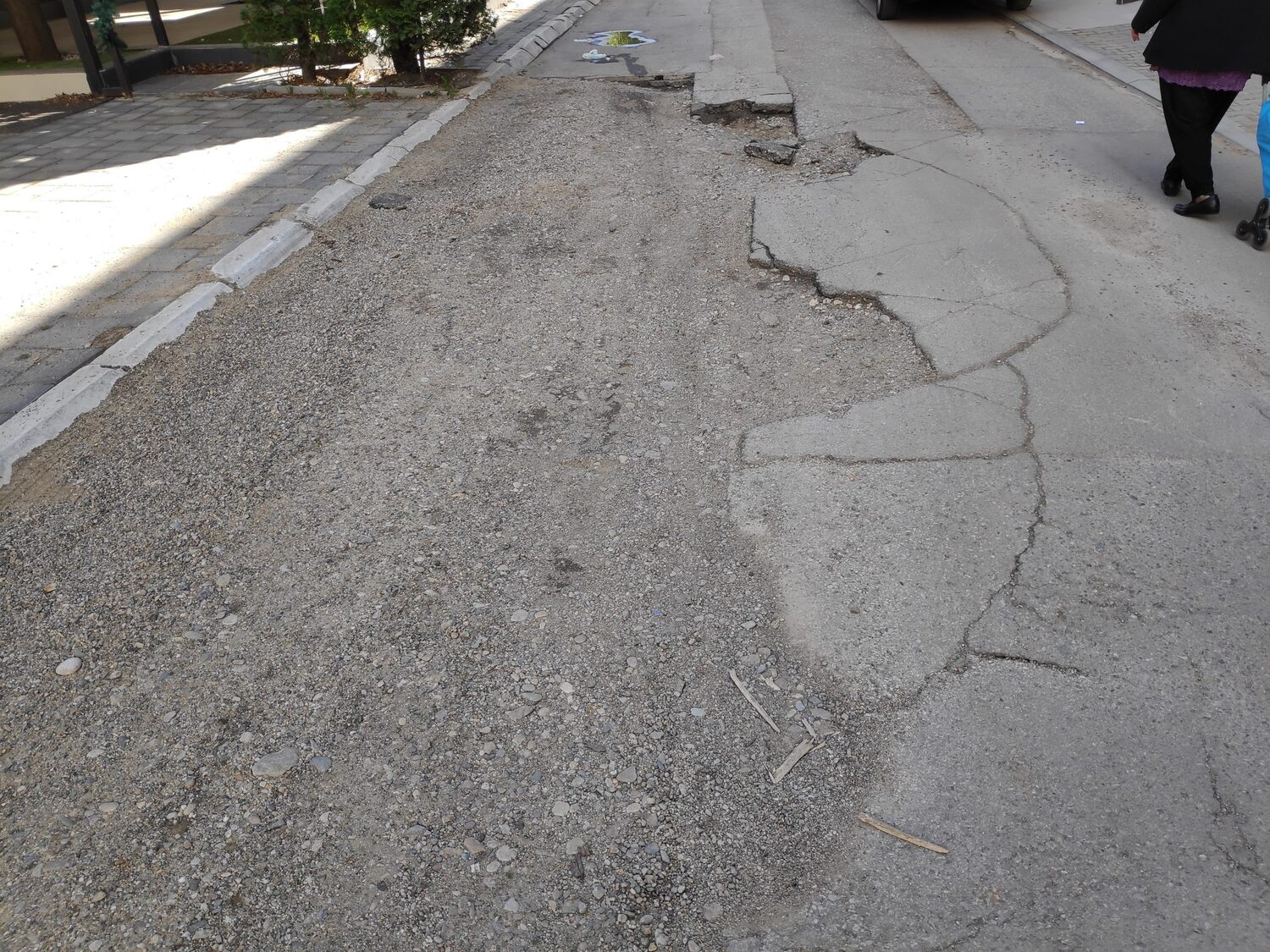 rupa lipov lad foto Nikola Mitic